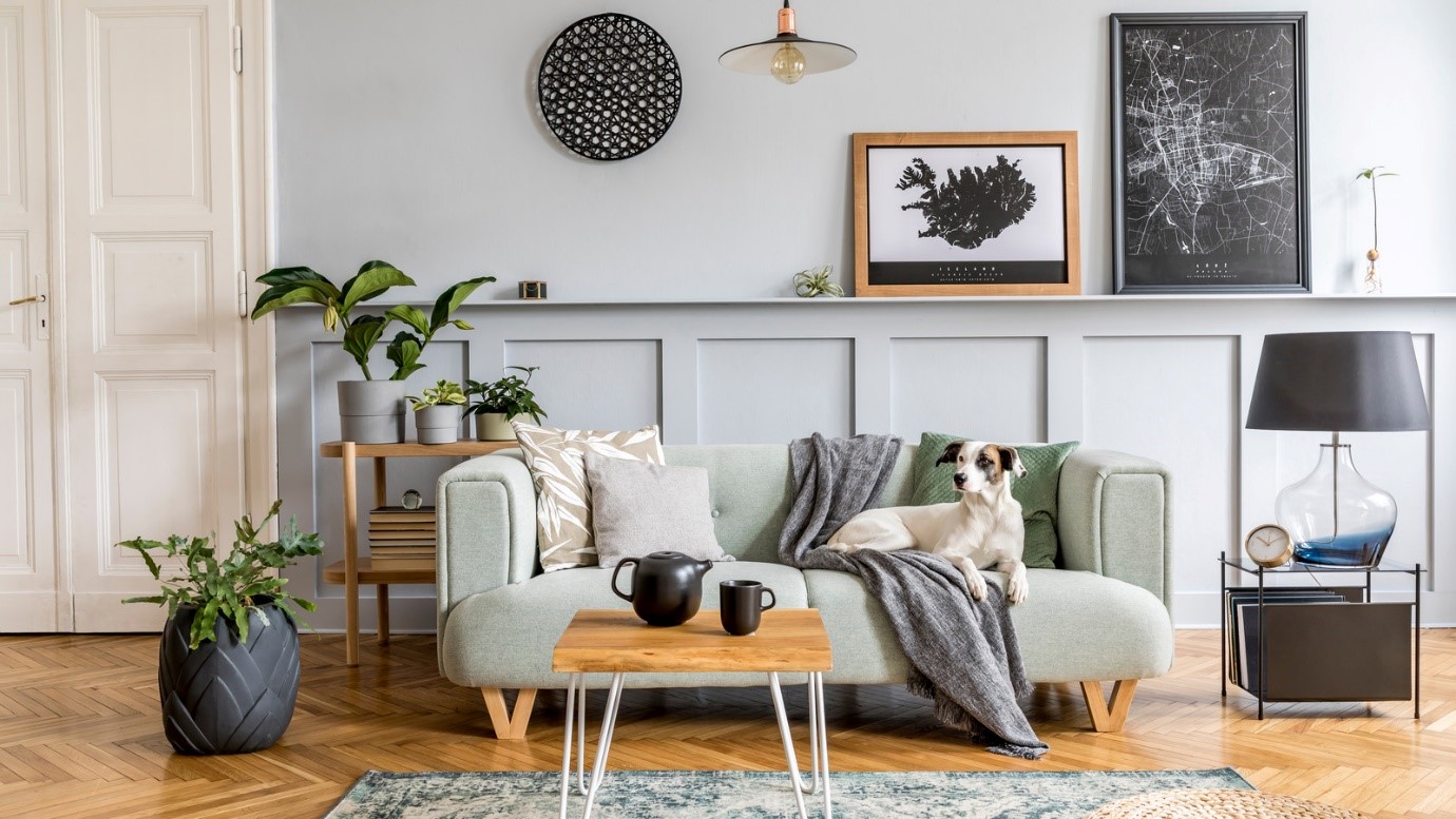 Budget-friendly ways to brighten your home